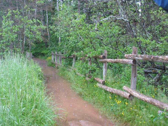 Green Gables PEI bridge