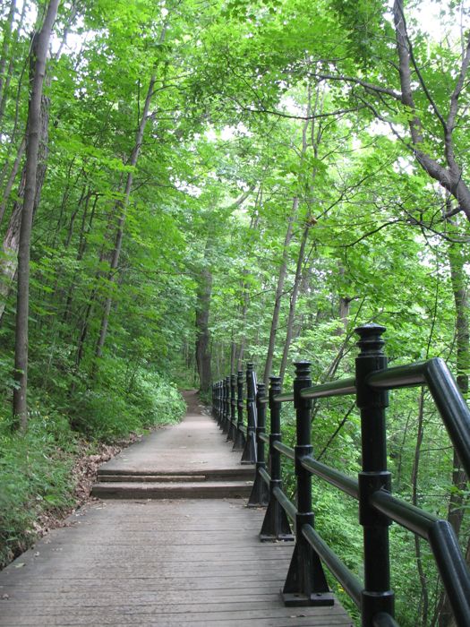 Mont Royal Path