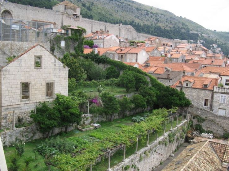 City Walls_Dubrovnik_14