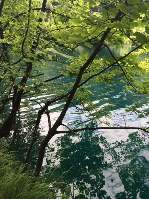 Plitvice5_still water