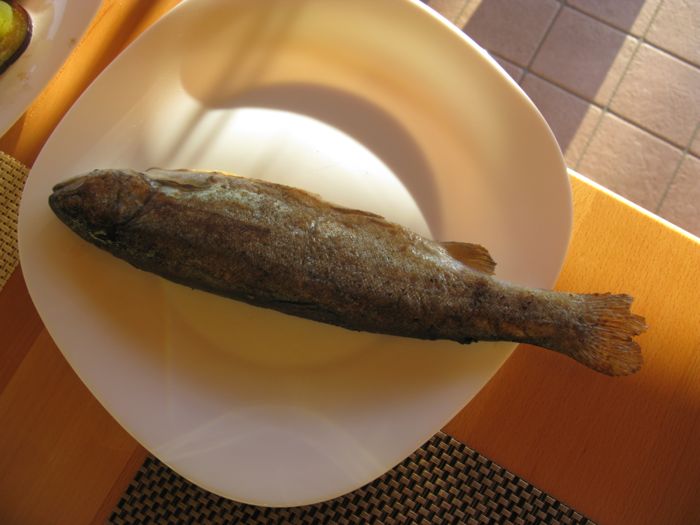 House Tina_grilled fish