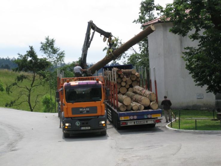 Slovenia_10 harvesting logs