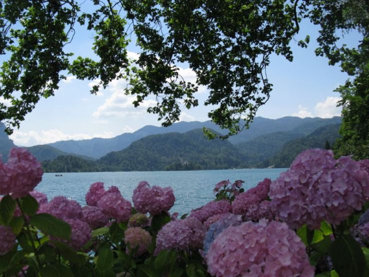 Slovenia_13 Lake Bled