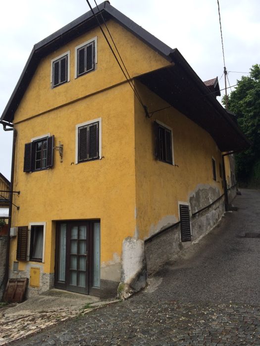Ljubljana_yellow house